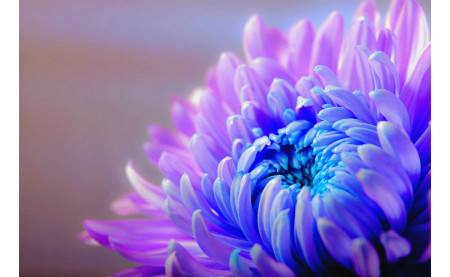 Po co nawozić trawnik naturalnym nawozem?